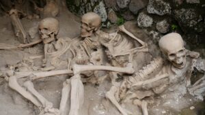 szkielety w Herkulanum