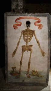 szkielet San Gaudioso