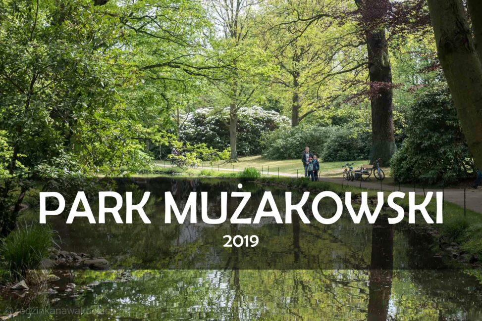 PARK MUZAKOWSKI 2019