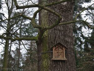 Park zamkowy w Gołuchowie