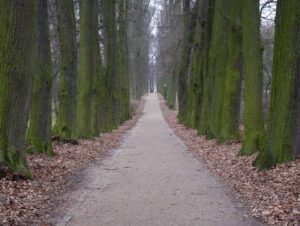 Park zamkowy w Gołuchowie