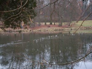 Park zamkowy w Gołuchowie