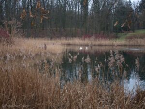 Park zamkowy w Gołuchowie
