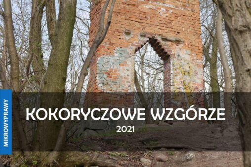 KOKORZYCZOWE WZGORZE 2020