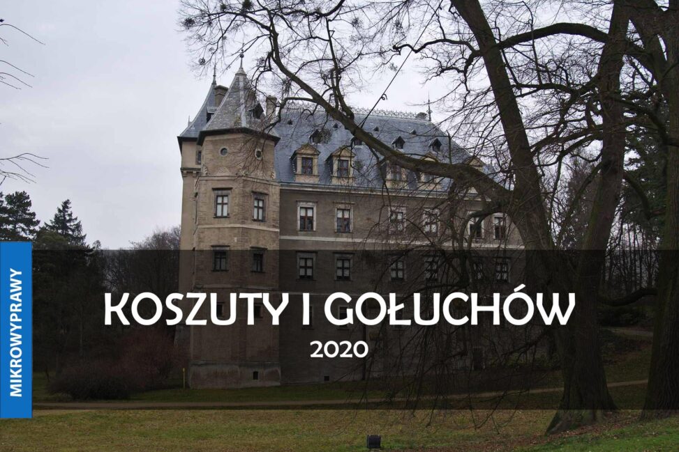 KOSZUTY I GOLUCHOW 2020 POP
