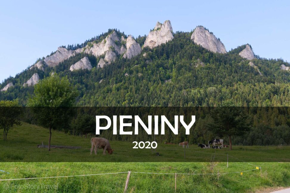 PIENINY 2020
