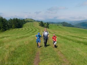 Szlak Lesnickie Sedlo - Wysoka