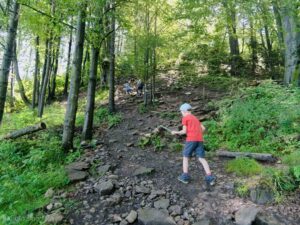 Szlak Lesnickie Sedlo - Wysoka