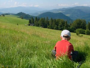 Szlak Lesnickie Sedlo - Wysoka