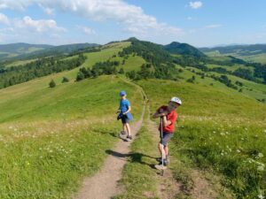 Szlak Lesnickie Sedlo - Wysoka