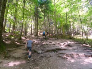 Pieniński Park Narodowy