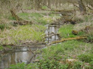 Dolina Samicy Kierskiej