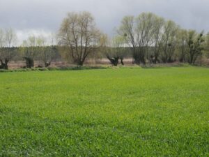 Dolina Samicy Kierskiej