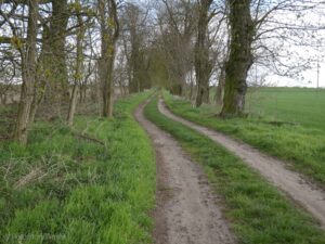 droga z Pawłowic do ZŁotnik