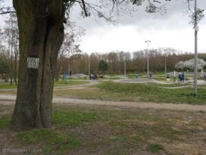 Pumptrack w Suchym Lesie