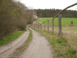 droga polna do Chludowa