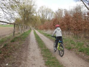 droga polna do Chludowa