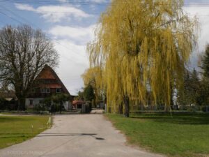 Chludowo domy przy ul. Rynek