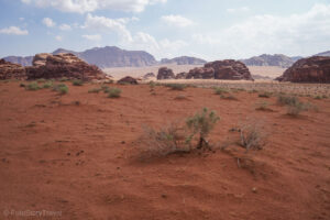Pustynia Wadi Rum
