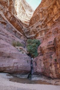 Pustynia Wadi Rum, źródło Lawrence'a