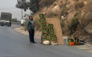 Stoisko z owocami przy drodze