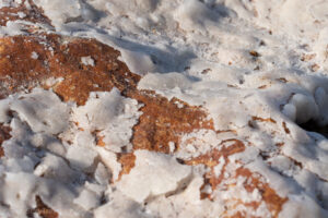 płaty soli na kamieniu - Morze Martwe