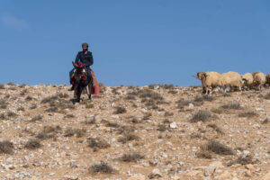 Pasterz ze stadem owiec