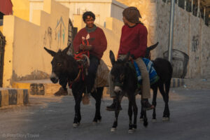 Chłopcy na osiołkach