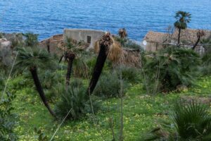 Zabudowania w Rezerwacie Zingaro