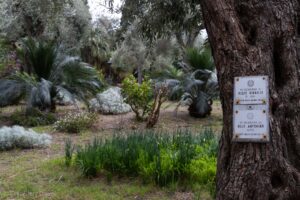 Ogród publiczny w Taorminie