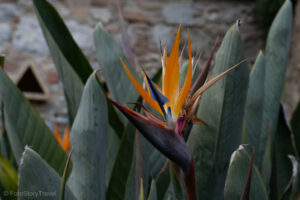 Ogród publiczny w Taorminie