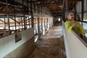 Mozaika w Villa Romana del Casale