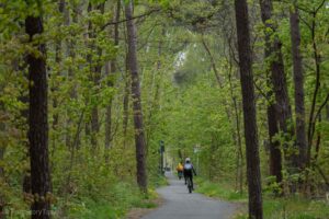 W drodze do Klein Zicker