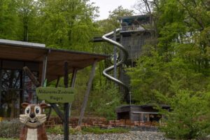 Zjeżdżalnia kończąca ścieżkę wśród koron drzew