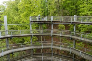 Ścieżka wśród koron drzew