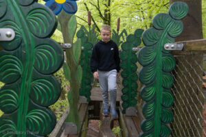 Ścieżka wśród koron drzew