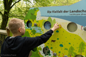 Tablica edukacyjna przy ścieżce wśród koron drzew