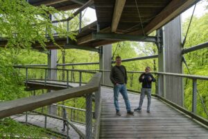 Ścieżka wśród koron drzew