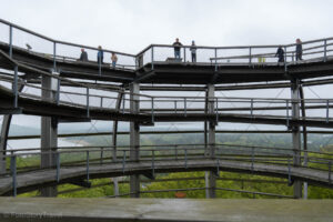 Ścieżka wśród koron drzew