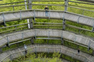 Ścieżka wśród koron drzew