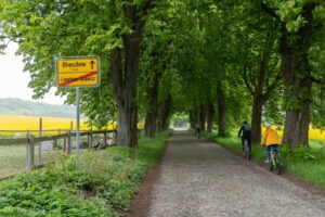 W drodze do Jagdschloss