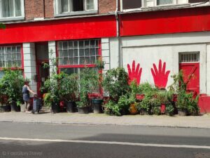 Rośliny przed kamienicą w Brukseli
