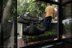 Fabryka herbaty Cha Gorreana