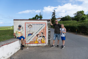 Plantacja herbaty Cha Gorreana