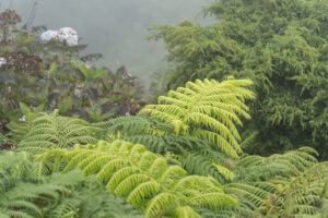 Na szlaku wokół kaldery Cabeço Gordo