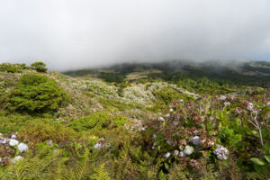 Na szlaku wokół kaldery Cabeço Gordo