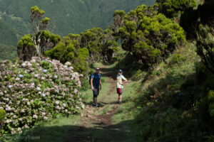 Trekking Serra do Topo - Fajã da Caldeira Santo Cristo
