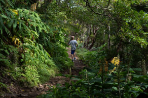 Trekking Serra do Topo - Fajã da Caldeira Santo Cristo