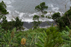 Trekking Fajã da Caldeira Santo Cristo - Fajã dos Cubres