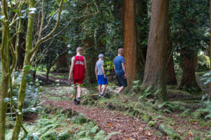 Parque Florestal das Sete Fontes